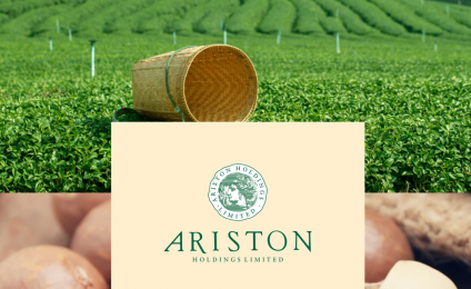 Ariston Holdings: The Farming Kingdom